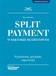 Split payment w sektorze budżetowym - wyjaśnienia, przykłady, odpowiedzi (PDF)